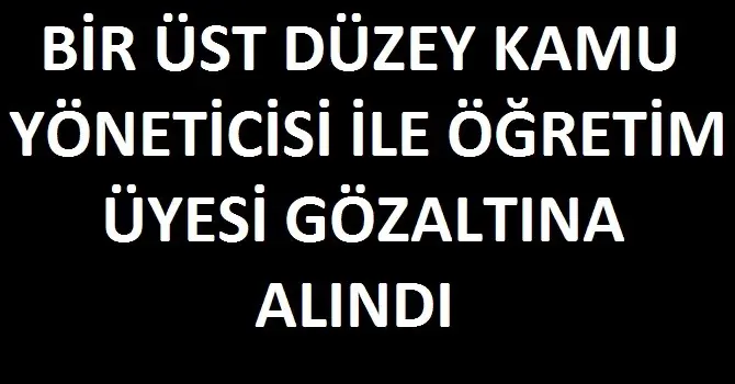 Haber: Üst Düzey Kamu Yöneticisi ve Öğretim Üyesi Gözaltına Alındı - Öne Çıkan