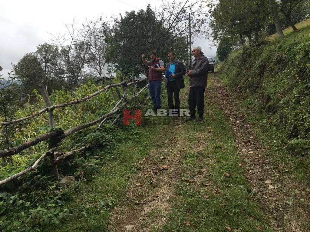 Haber: ORMANDAKİ FINDIK TARİFE BEDELİ İLE TOPLANACAK - Öne Çıkan