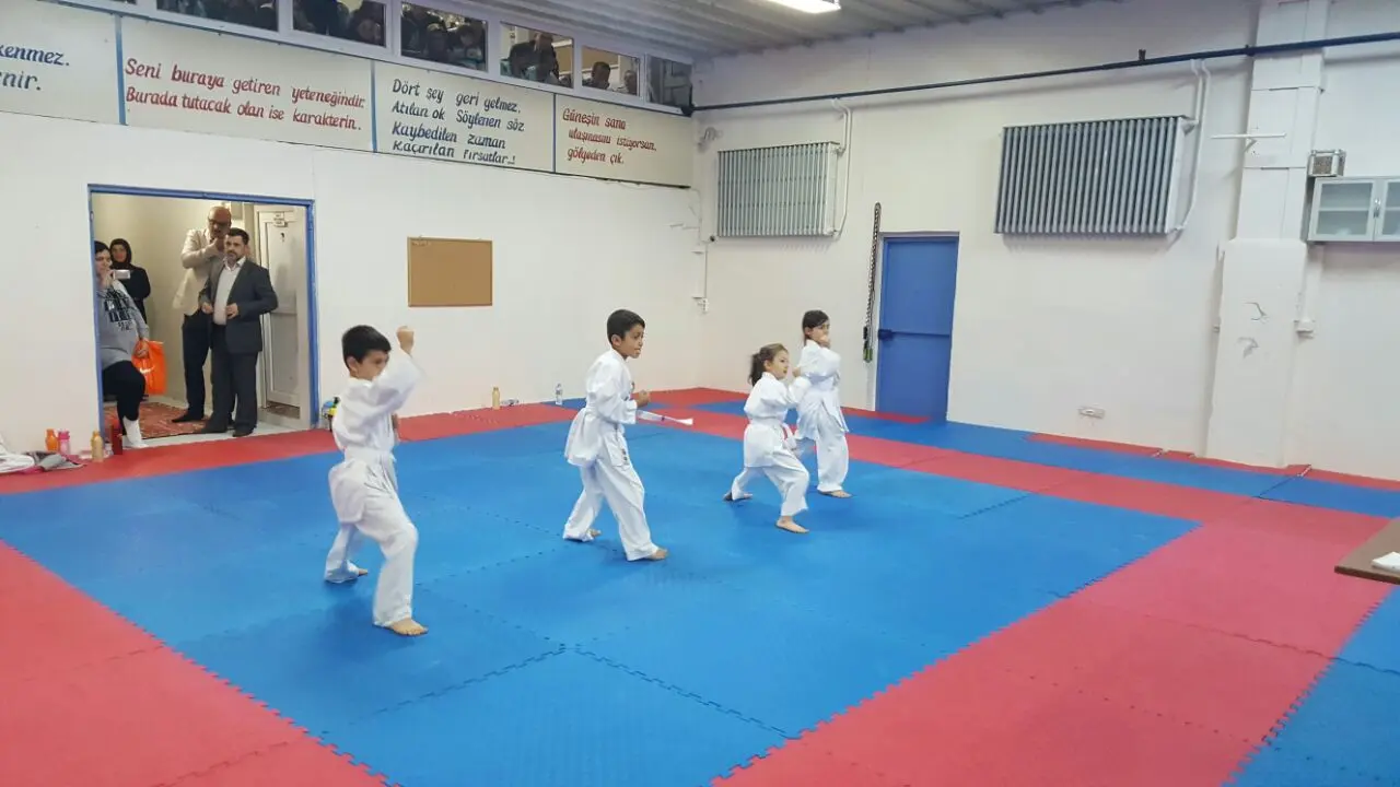Haber: Hendek Belediyesi Karate Takımı Terfi Etti - Galeri-2