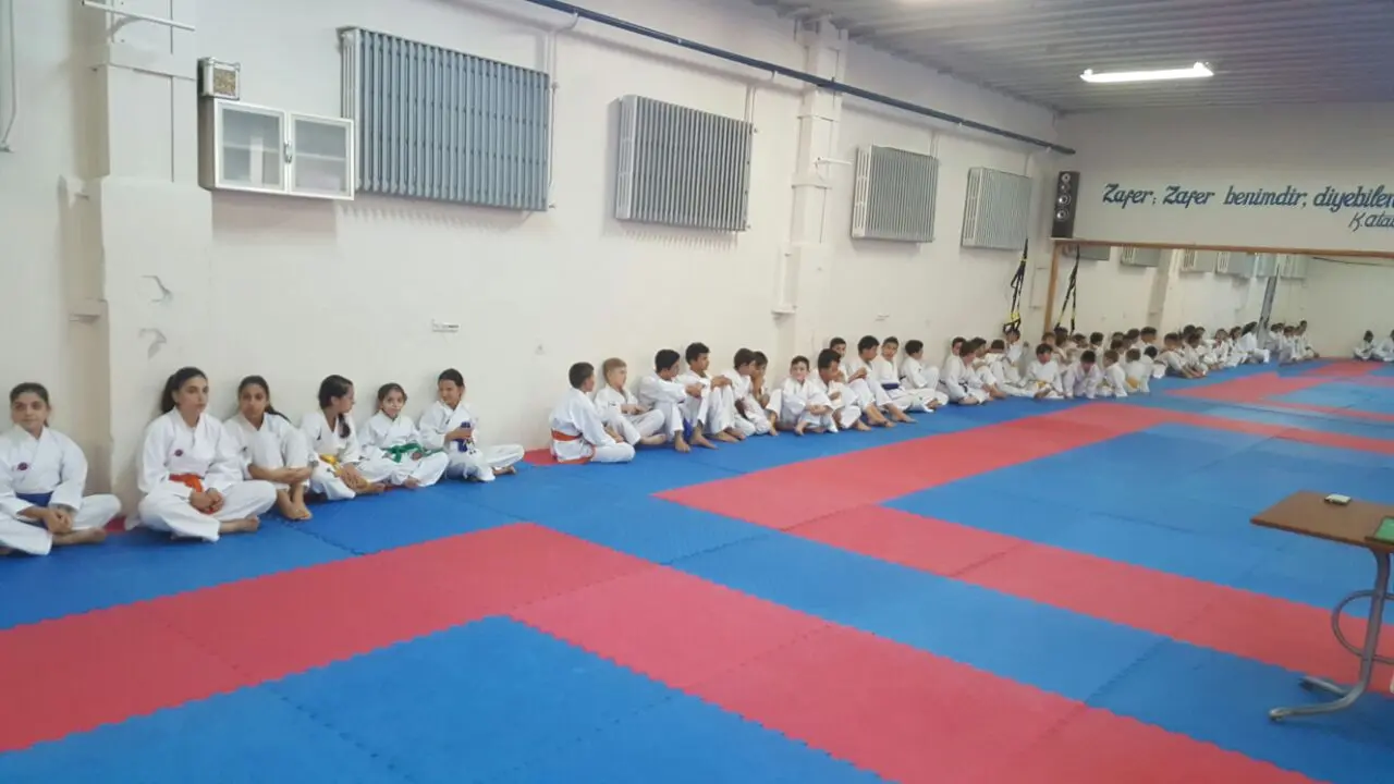Haber: Hendek Belediyesi Karate Takımı Terfi Etti - Galeri-3