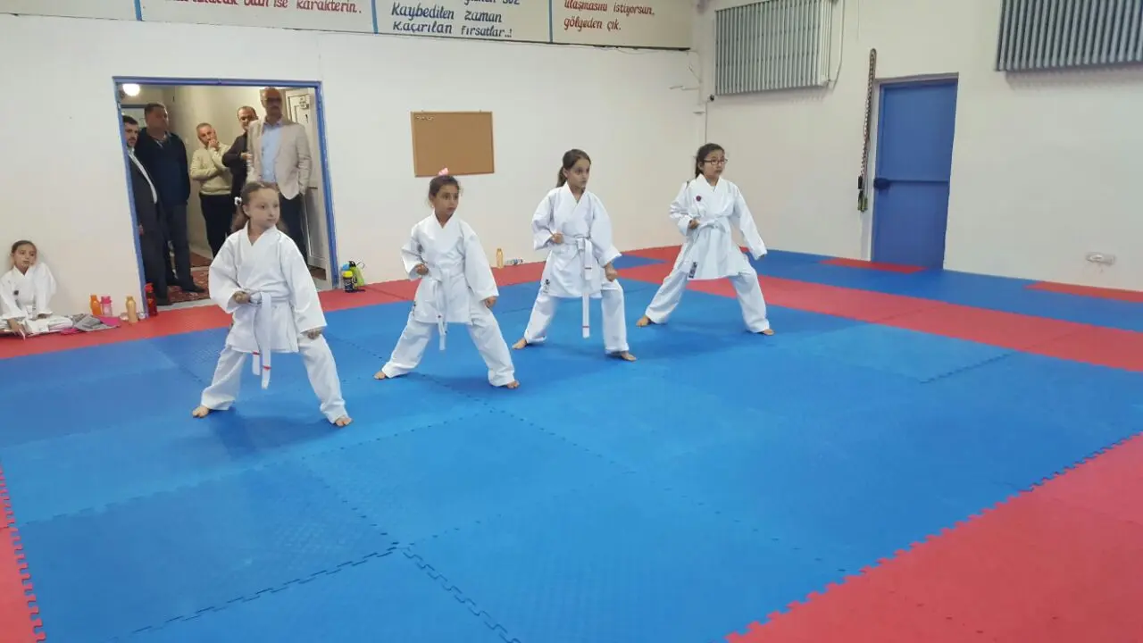 Haber: Hendek Belediyesi Karate Takımı Terfi Etti - Galeri-1