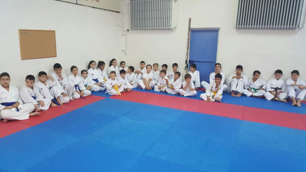 Haber: Hendek Belediyesi Karate Takımı Terfi Etti - Galeri-4