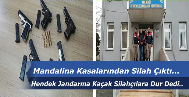 Mandalina Kasalarından Silah Çıktı