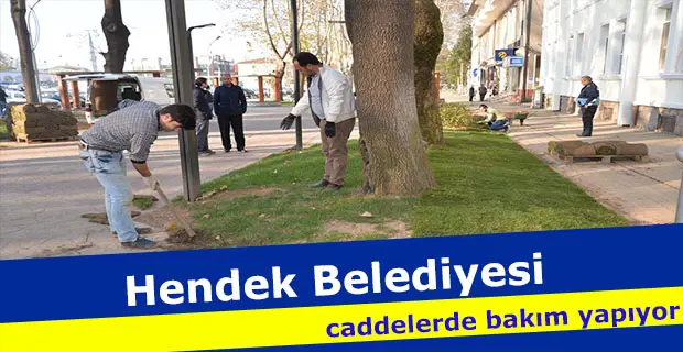 Hendek Belediyesi caddelerde bakım yapıyor