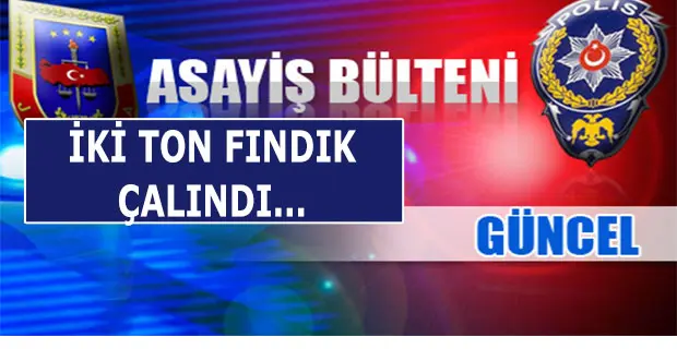 Haber: Hendek’te Asayiş olayları, 2 Ton Fındık Çalındı - Öne Çıkan