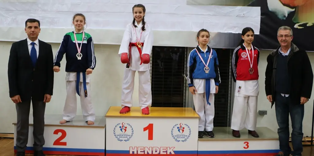 Haber: Karateciler Hendek’te coştu - Galeri-1