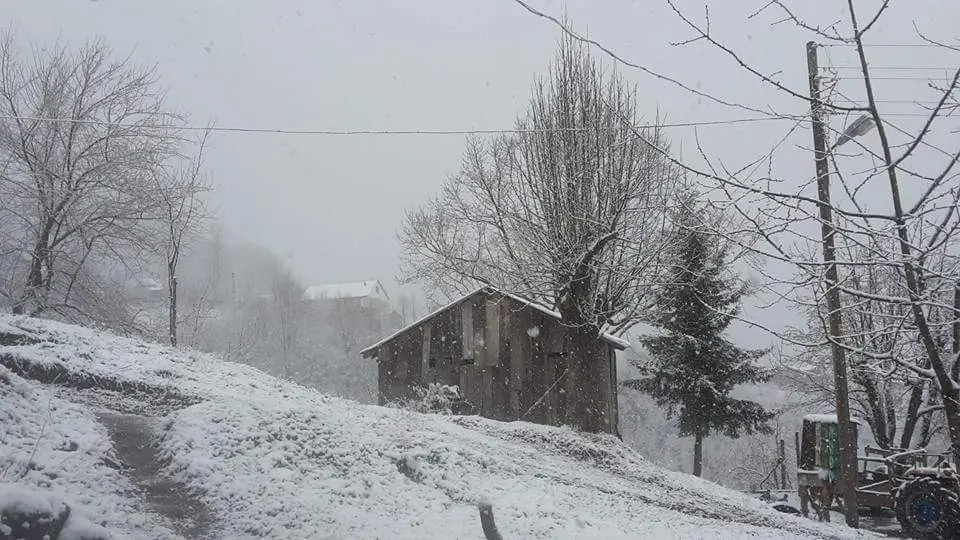 Haber: Bahar Geldi Derken Kar Yeniden Geldi - Galeri-1