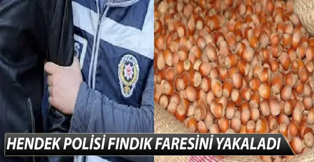 HENDEK POLİSİ FINDIK FARESİNİ YAKALADI