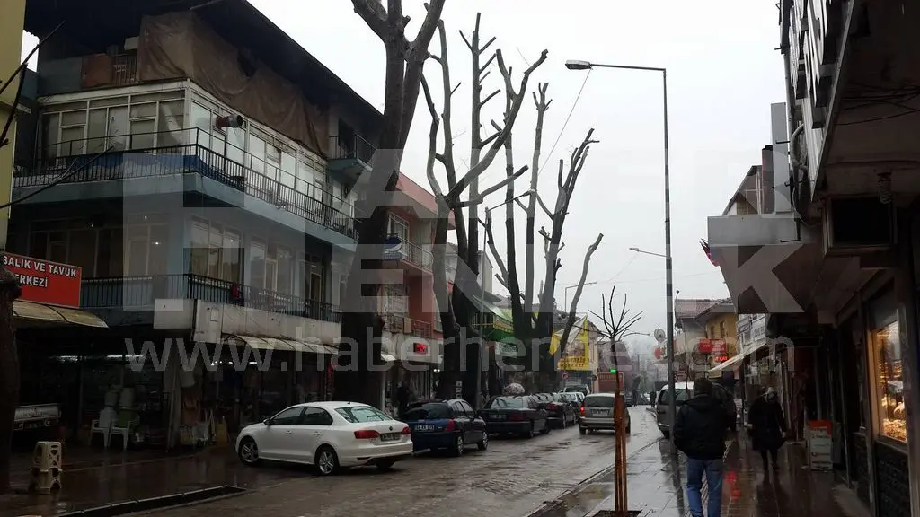 Haber: Estetik Kurulunu Göreve Davet Ediyoruz - Galeri-3