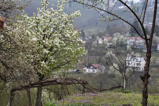 Kar Eridi Zirai Don Tehlikesi Devam Ediyor