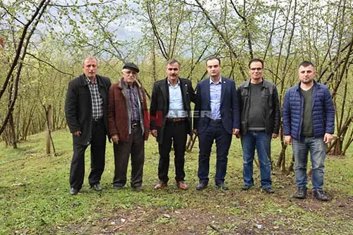 Haber: SUNMAN, FINDIK BAHÇELERİNİ İNCELEDİ - Galeri-3