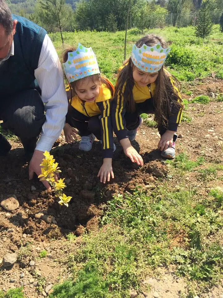 Haber: Pırıltı Anaokulu Öğrencilerinden Hatıra Ormanı - Galeri-4