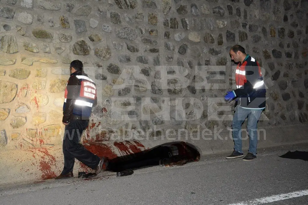 Haber: Hendek'te Bir Şahıs Yol Kenarında Ölü Bulundu - Öne Çıkan