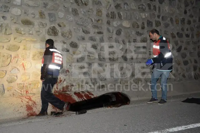 Hendek'te Bir Şahıs Yol Kenarında Ölü Bulundu