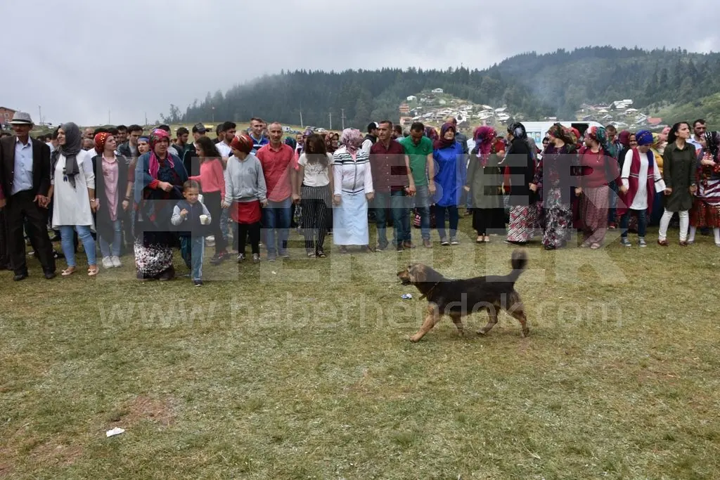 Haber: ÇİĞDEM YAYLA ŞENLİĞİ COŞKULU GEÇTİ - Galeri-2