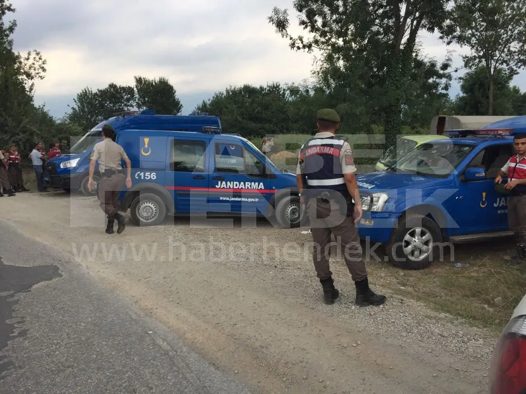 Haber: Jandarma ve Polis Fındık Hırsızlarına Göz Açtırmıyor - Öne Çıkan