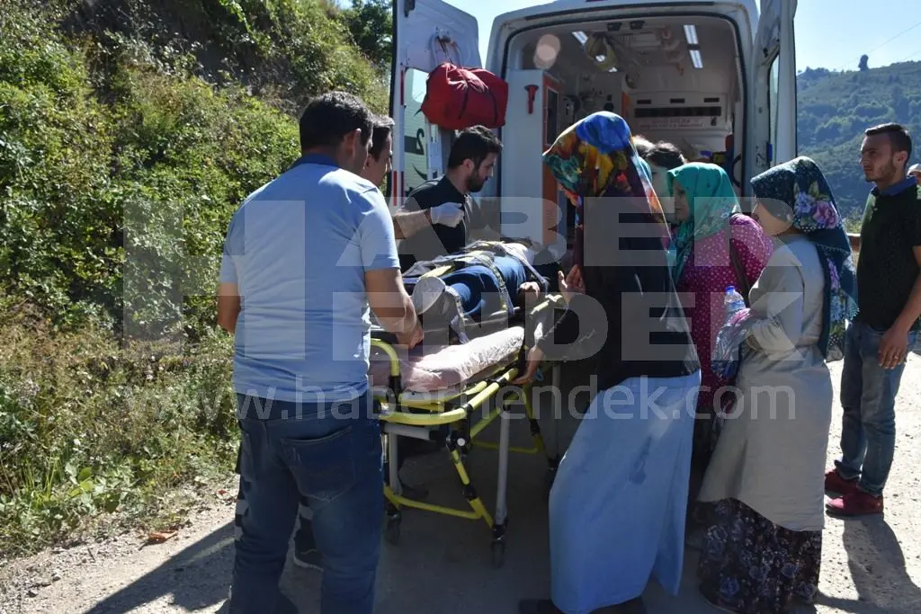 Haber: ZİRVE YOLUNDA KAZA 1 YARALI - Galeri-1