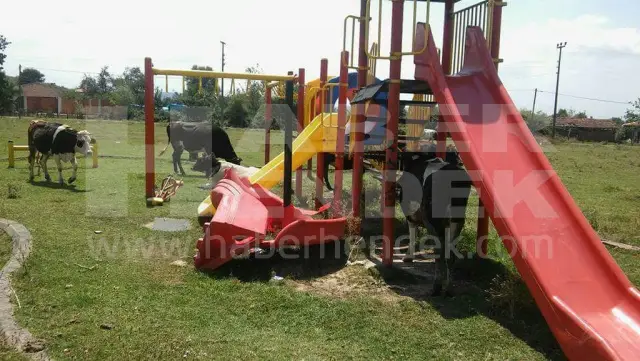 Çocuk Parkımı, Hayvan Parkımı