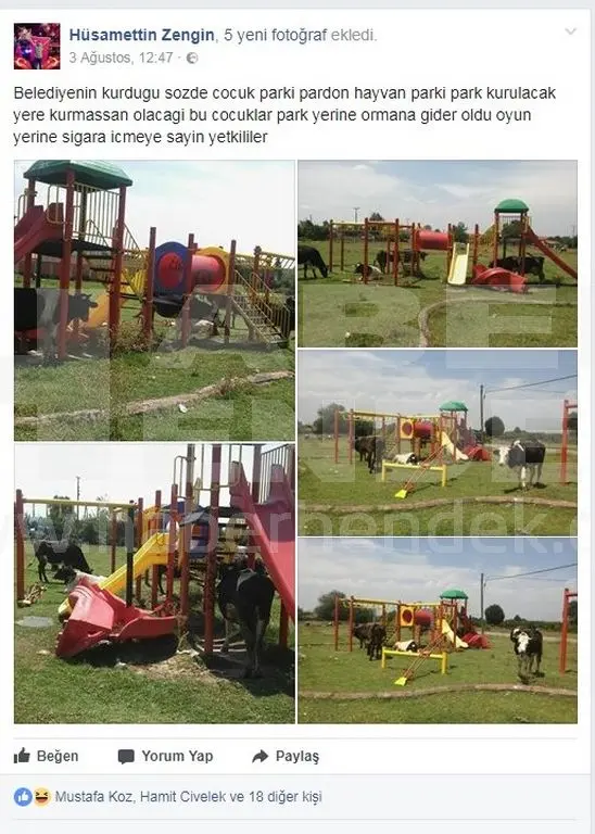 Haber: Çocuk Parkımı, Hayvan Parkımı - Galeri-2