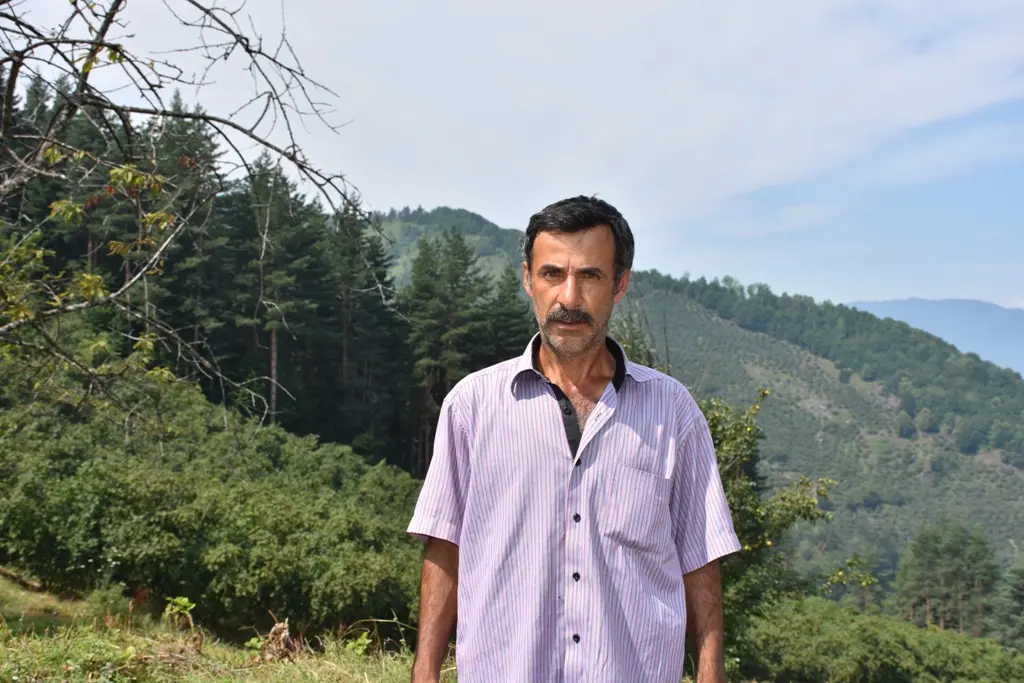 Haber: Fındık bahçelerinde Ayı dolaşıyor - Galeri-2