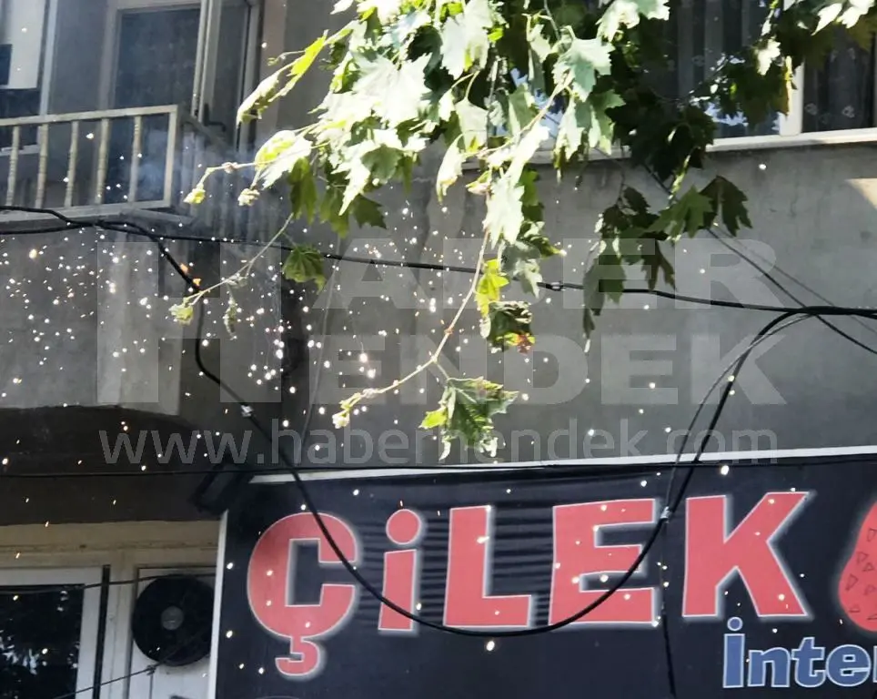 Haber: Yanmaya Başlayan Elektrik Kabloları Korkuttu - Galeri-1