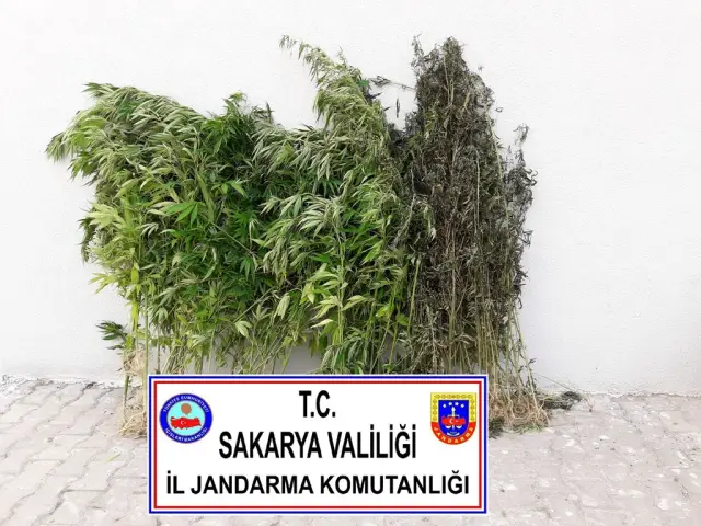 Jandarmadan Uyuşturucuya Geçit Yok
