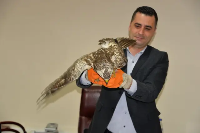 Yaralı Doğanı Elleriyle Besleyip Milli Parklar Müdürlüğüne Teslim Ettiler