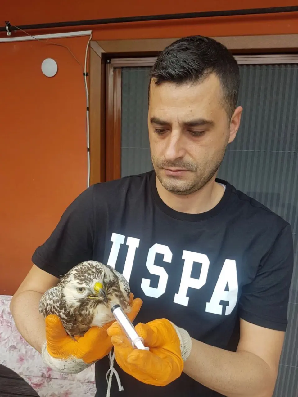 Haber: Yaralı Doğanı Elleriyle Besleyip Milli Parklar Müdürlüğüne Teslim Ettiler - Galeri-1