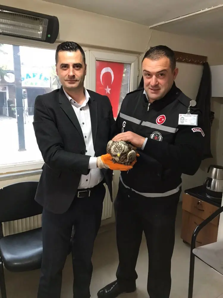 Haber: Yaralı Doğanı Elleriyle Besleyip Milli Parklar Müdürlüğüne Teslim Ettiler - Galeri-2