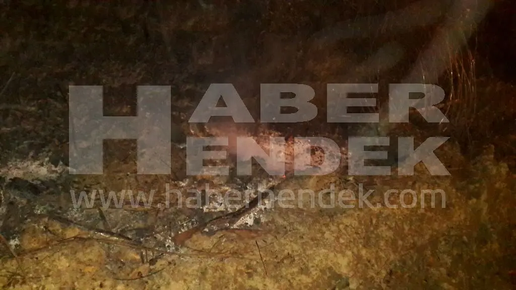Haber: HENDEK İTFAİYESİNDEN YANGIN MESAİSİ - Galeri-1