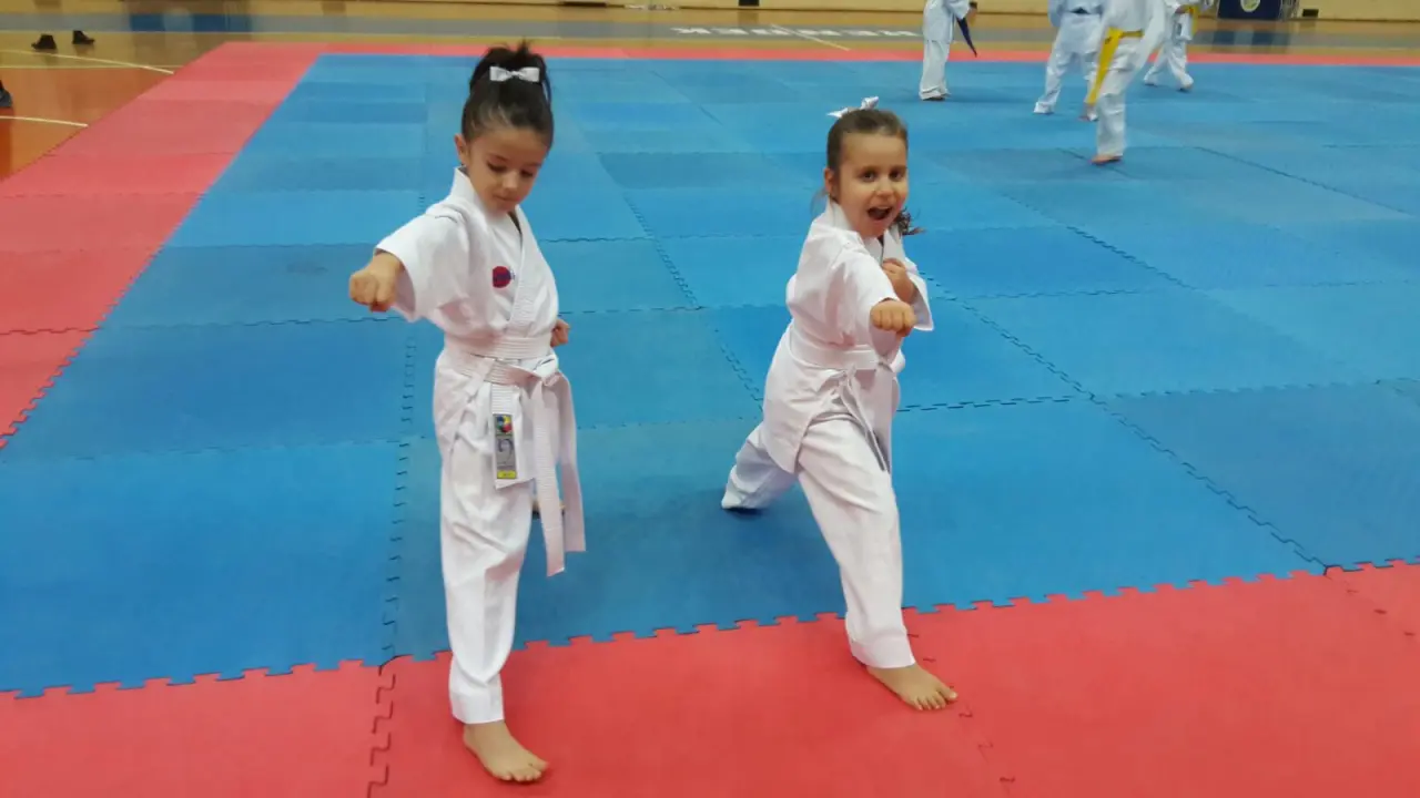 Haber: Hendek Karate Takımı Kuşak Yükseltti - Galeri-4