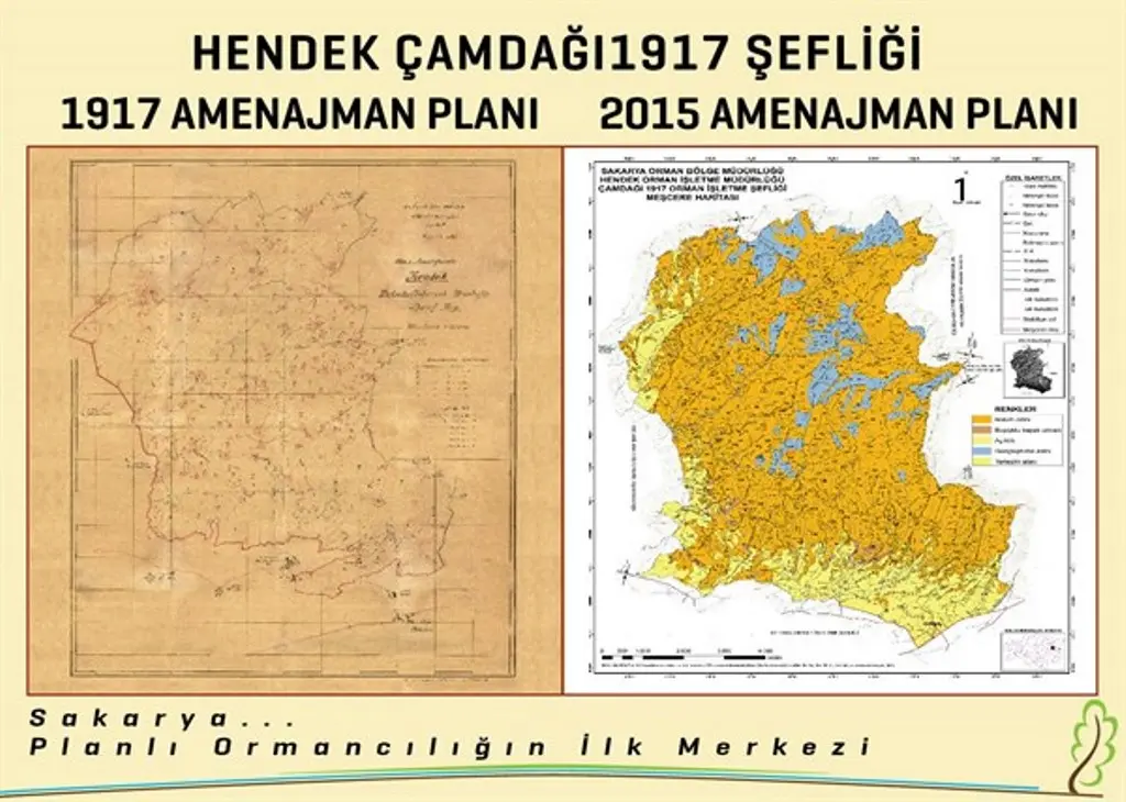 Haber: Planlı Ormancılığın 100. Yılı kutlaması Hendek’te Yapılacak - Galeri-1