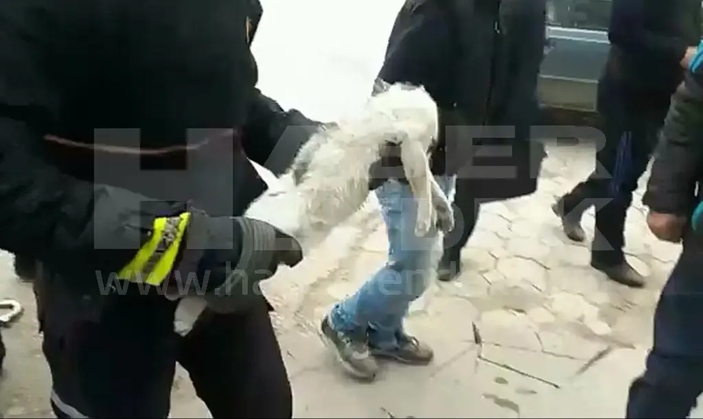 Haber: Aracın Motoruna Giren Kedi Kurtarıldı - Galeri-2