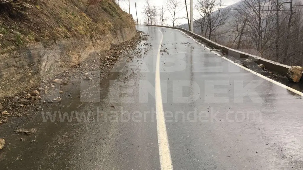 Haber: Heyelan Nedeniyle Yol Kaydı, Ağaç Devrildi - Galeri-4