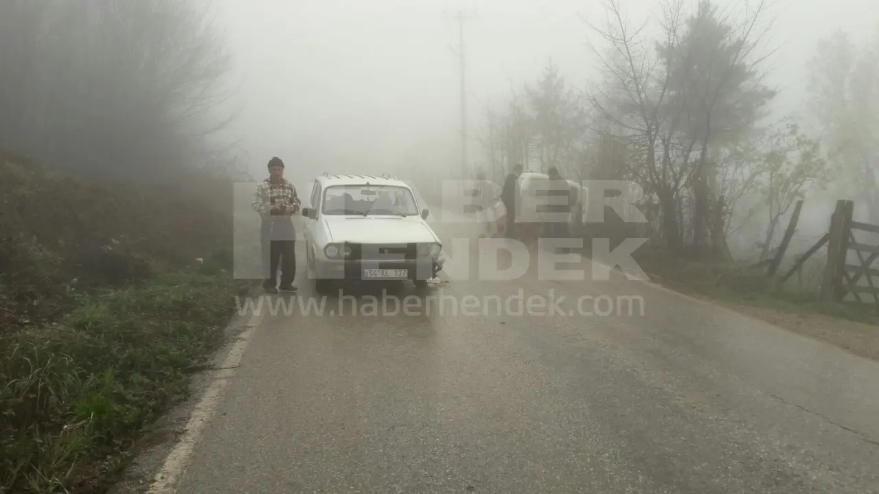 Haber: SİS KAZAYA NEDEN OLDU - Galeri-1