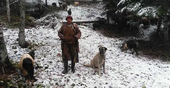 Haber: Zirvede Kar Yağışı Başladı - Galeri-3