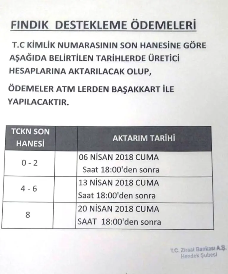 Haber: Fındık Destekleme Ödemeleri Başlıyor - Galeri-1