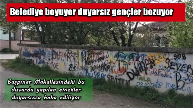Belediye Boyuyor duyarsız gençler bozuyor