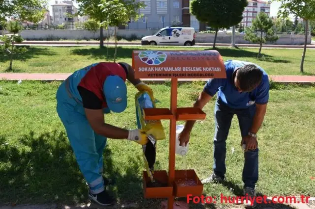 Onlarda Can Taşıyor