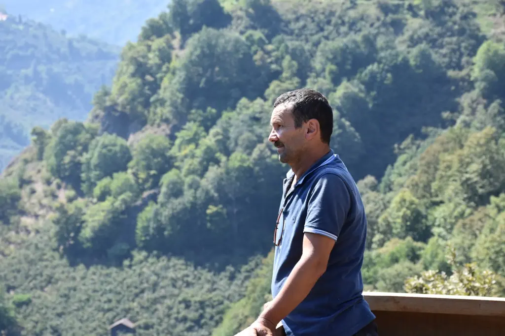 Haber: Doğayı seyretmek için kendi imkanı ile seyir terası yaptı - Galeri-2
