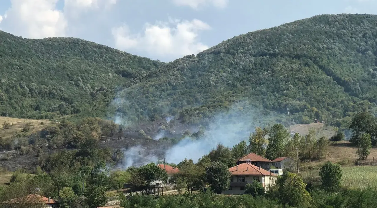 Haber: Yangın Tehlikeye Davetiye Çıkardı - Galeri-1
