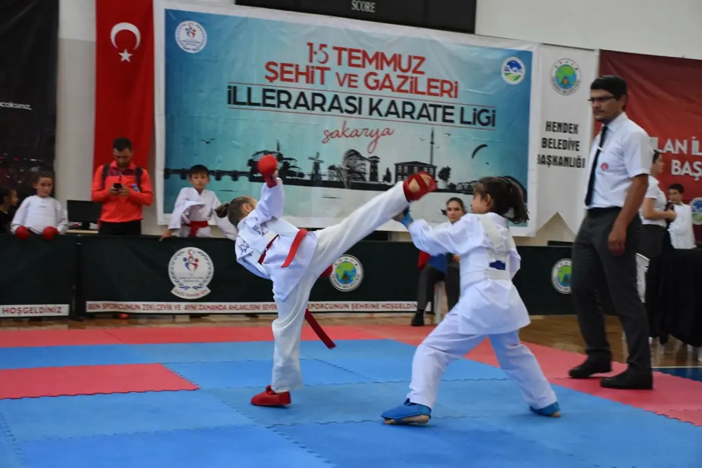 Haber: 15 Temmuz Şehitleri Ve Gazileri Karate Ligi Hendek’te Yapıldı - Galeri-3