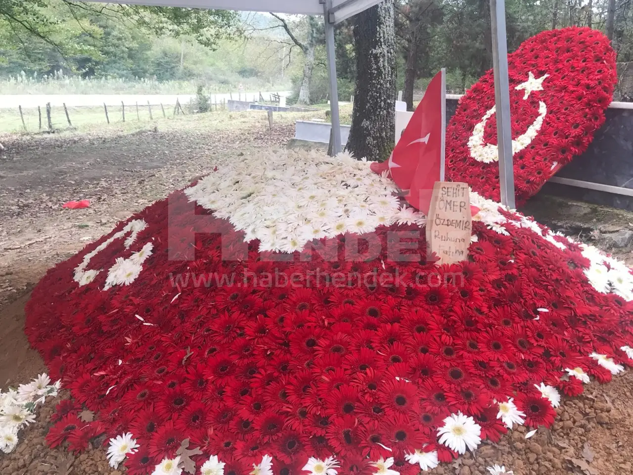 Haber: Muhteşem Gençlik Helal Olsun Size - Galeri-1
