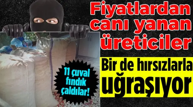 Fındık Fareleri Cezaevine Gönderildi