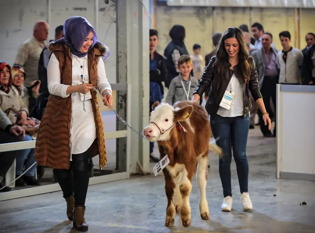 Haber: Tarım Fuarında Güzeller Geçidi - Galeri-1