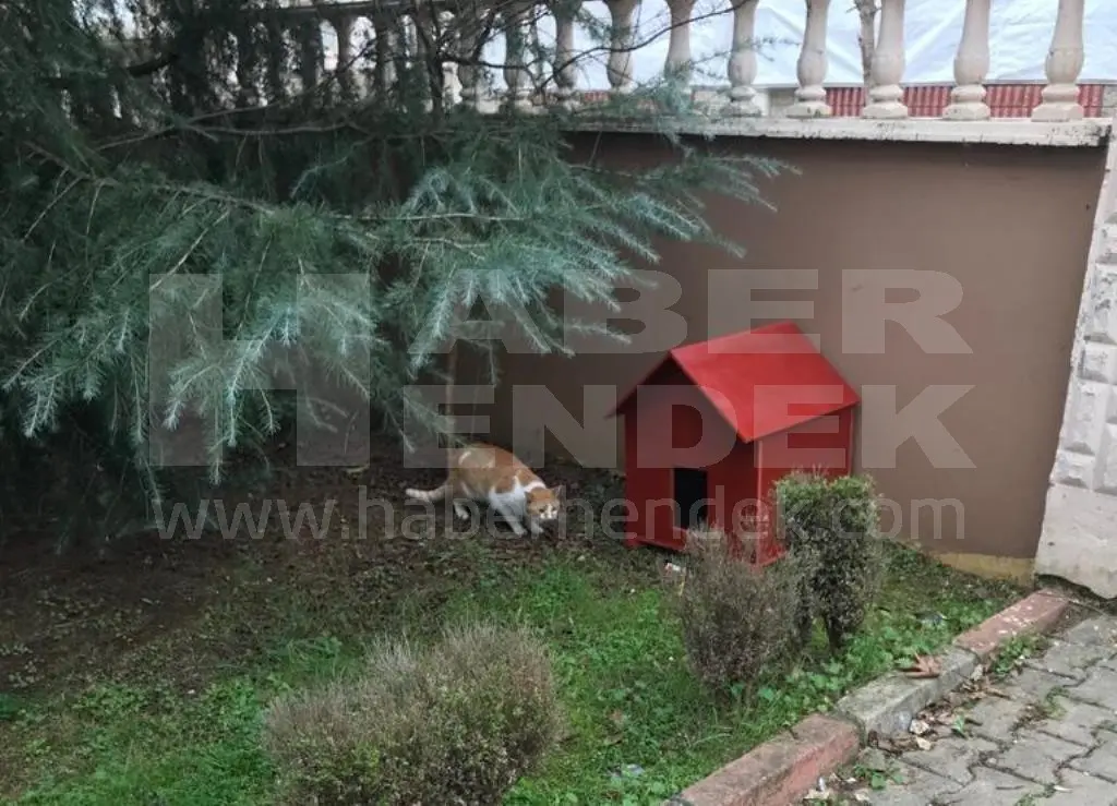 Haber: Egemen Mobilyadan İnsanlık Dersi - Galeri-2