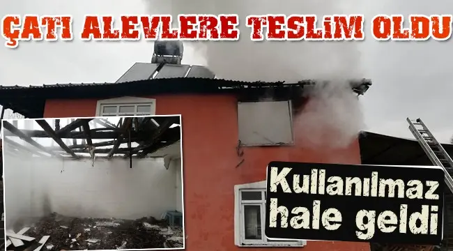 Haber: Hendek'te Yangın Çatı Katı Alevlere Teslim Oldu - Öne Çıkan