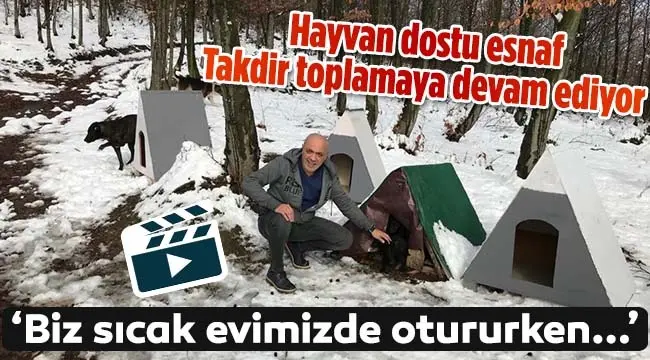 Haber: Hayvan dostu esnaf Takdir toplamaya devam ediyor - Öne Çıkan