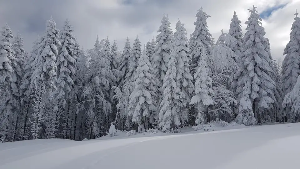 Haber: Hendek’in Zirvesinden Kartpostallık Fotoğraflar - Galeri-4