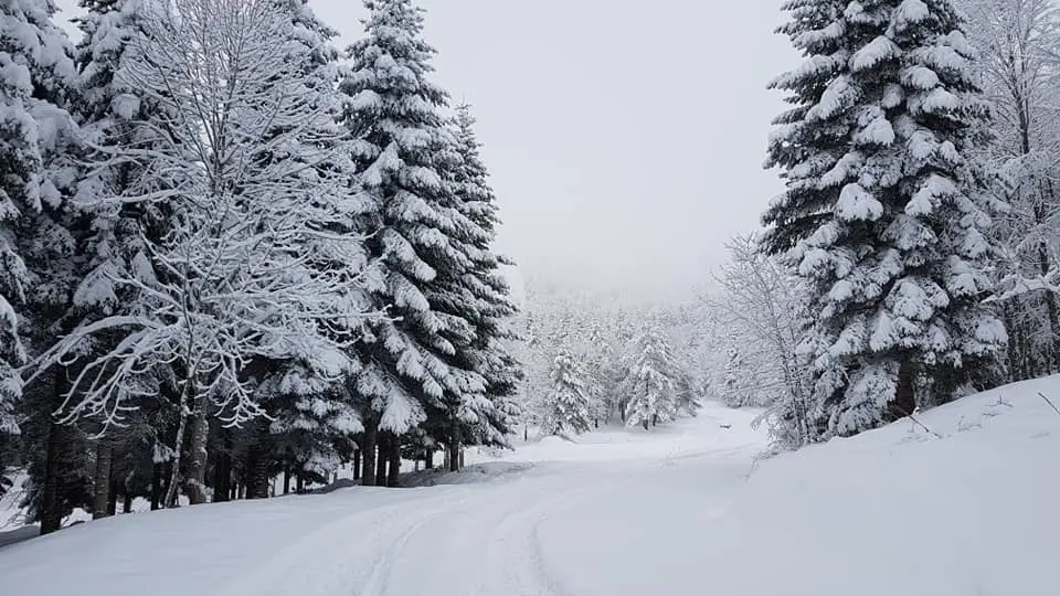 Haber: Hendek’in Zirvesinden Kartpostallık Fotoğraflar - Galeri-1